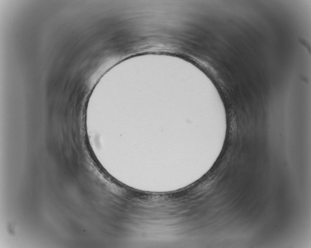 X0000099551375200806131202