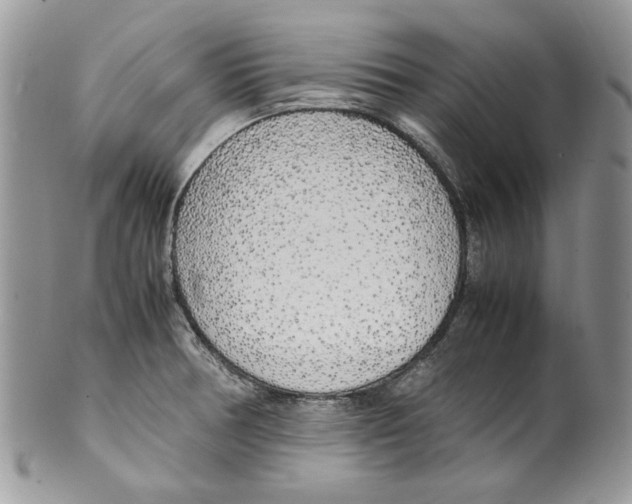 X0000099551378200806131202