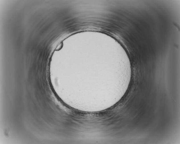 X0000099551379200806131202