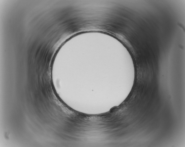 X0000099551380200806131202