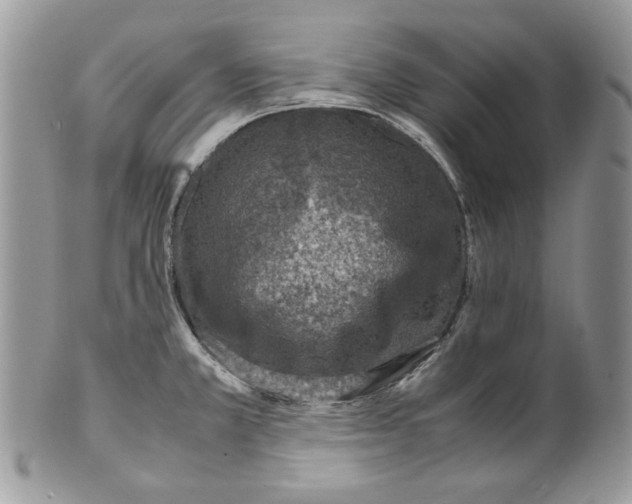 X0000099551381200806131202