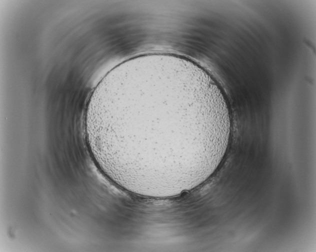 X0000099551382200806131202