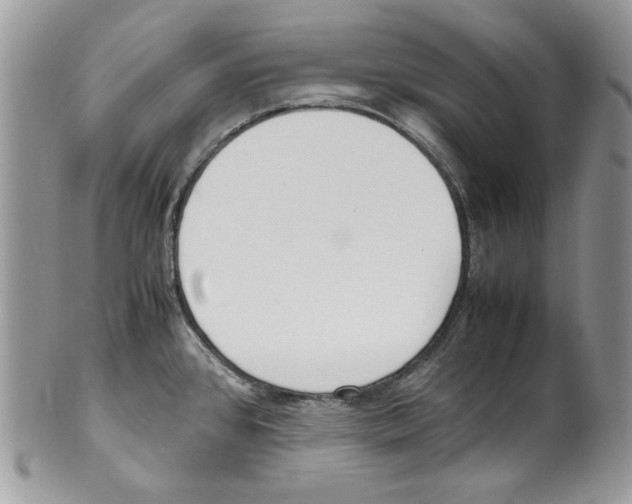 X0000099551384200806131202