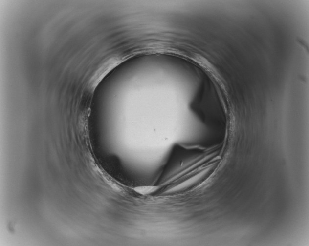 X0000099551385200806131202