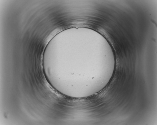 X0000099551386200806131202