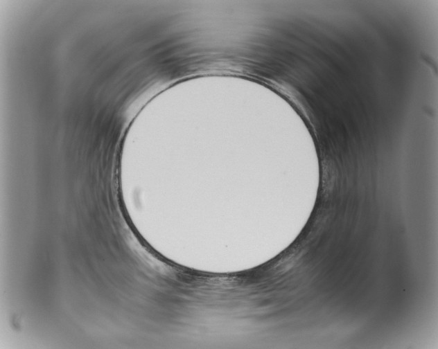 X0000099551387200806131202