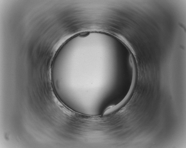 X0000099551388200806131202