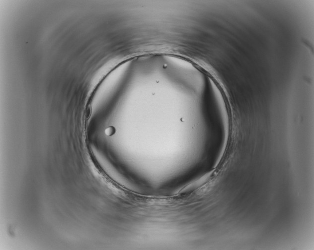 X0000099551389200806131202