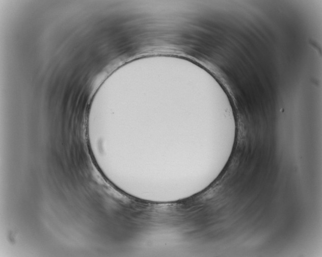 X0000099551390200806131202