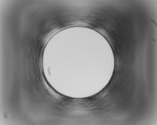 X0000099551391200806131202