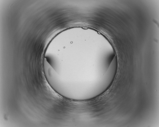 X0000099551392200806131202