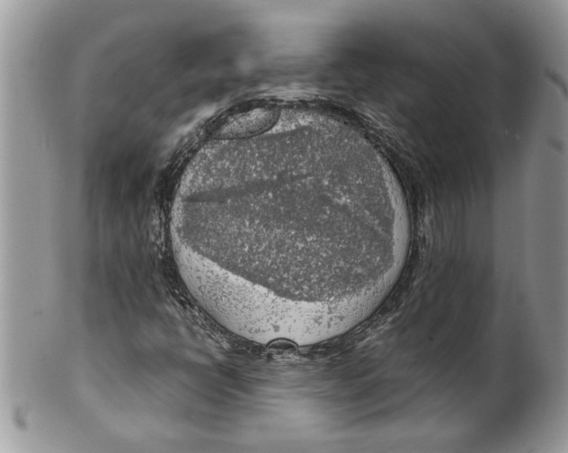 X0000099551398200806131201