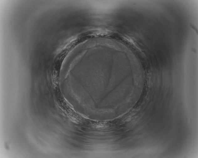 X0000099551399200806131201