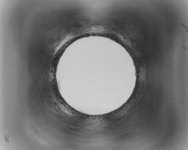 X0000099551400200806131202