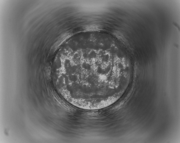 X0000099551401200806131202