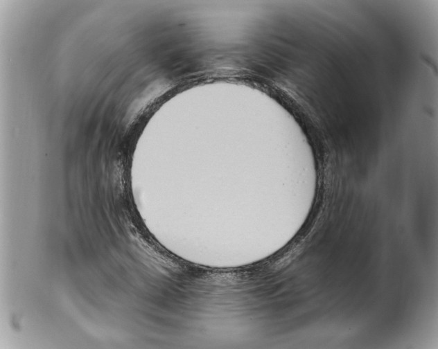 X0000099551402200806131202