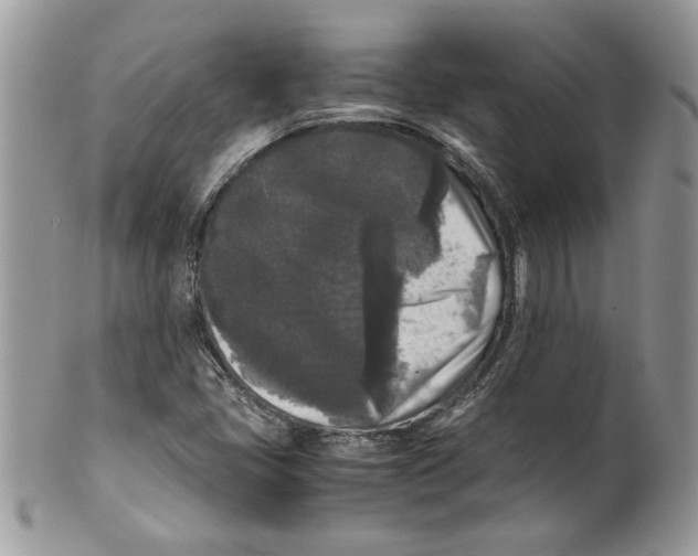 X0000099551405200806131202