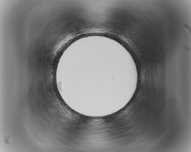 X0000099551406200806131202