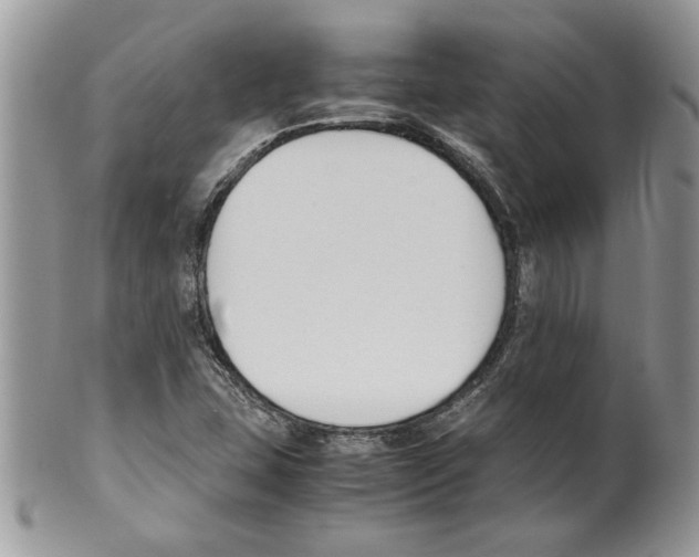 X0000099551407200806131202