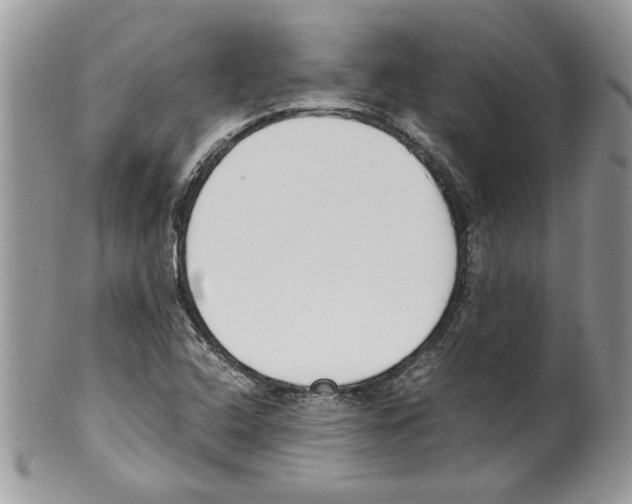 X0000099551408200806131202