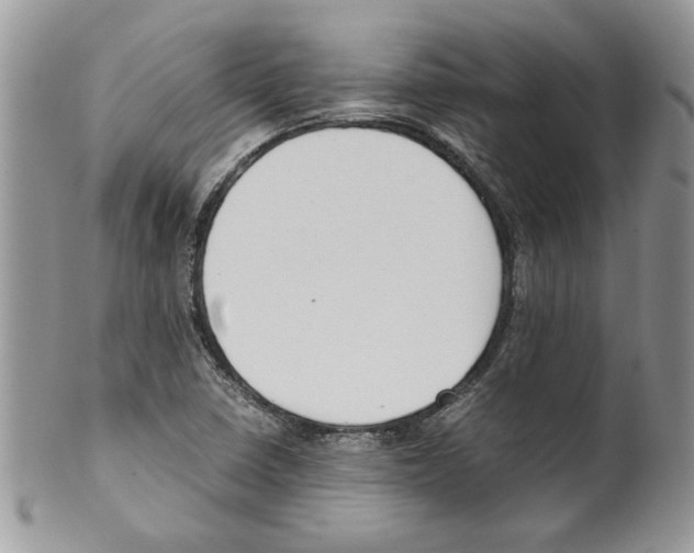 X0000099551410200806131202