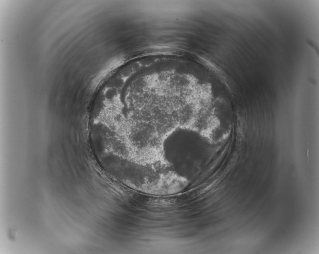 X0000099551411200806131202