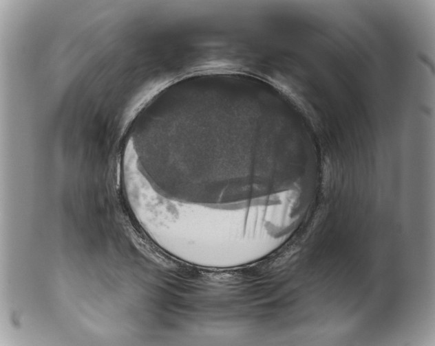 X0000099551413200806131202