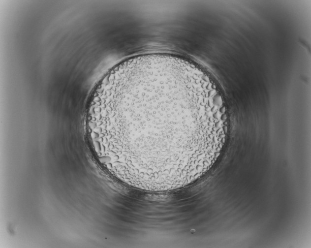 X0000099551415200806131202