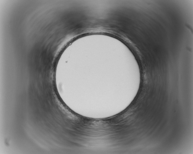 X0000099551416200806131202