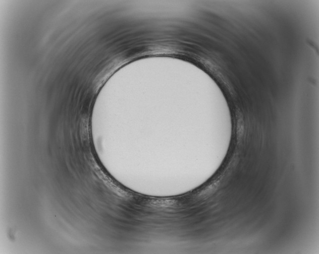 X0000099551417200806131202