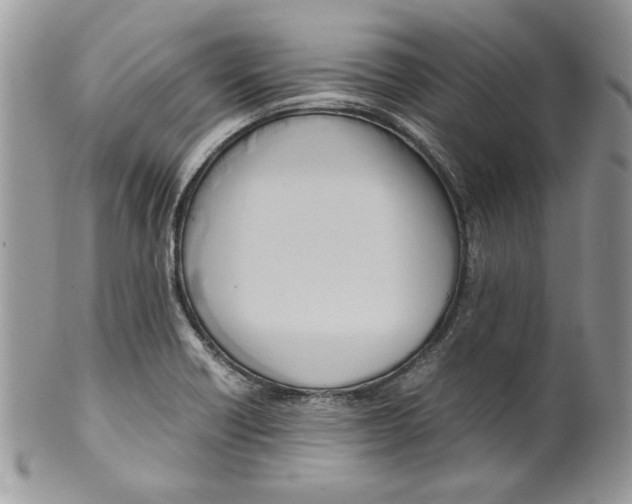 X0000099551418200806131202