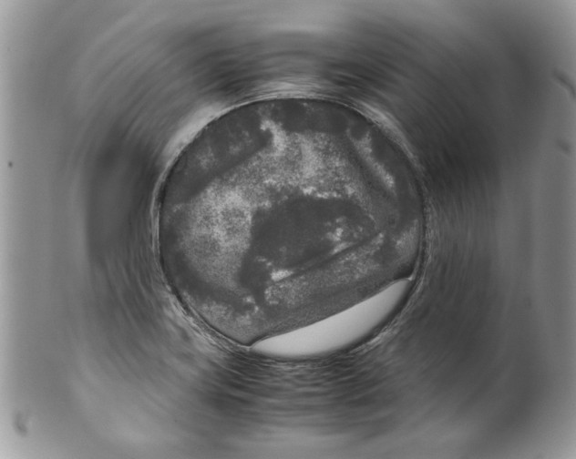 X0000099551419200806131202