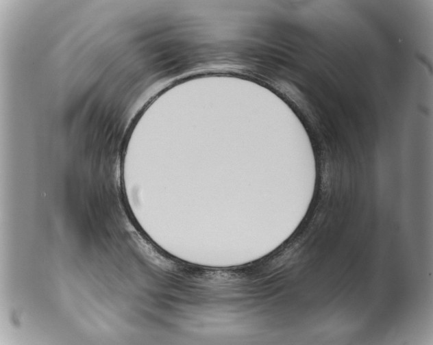 X0000099551420200806131202