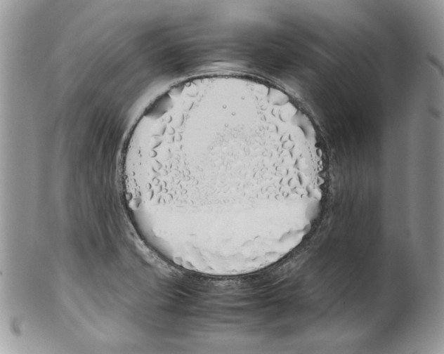 X0000099551421200806131202