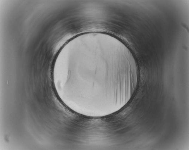 X0000099551422200806131202