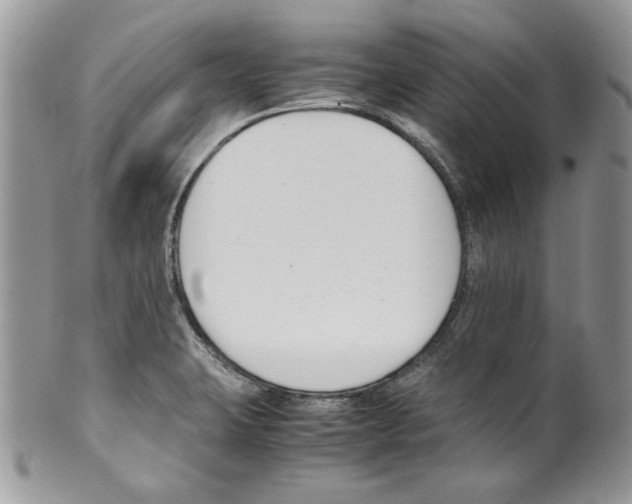 X0000099551423200806131202