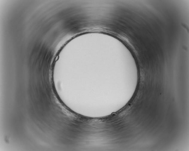 X0000099551424200806131202