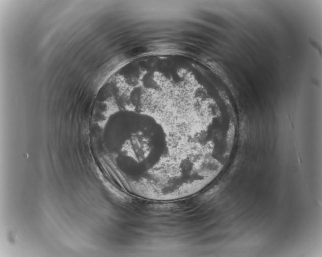 X0000099551425200806131202