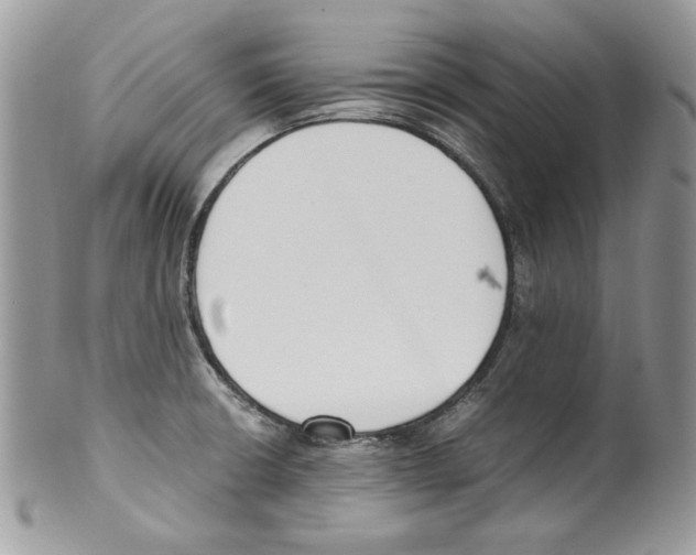 X0000099551426200806131202