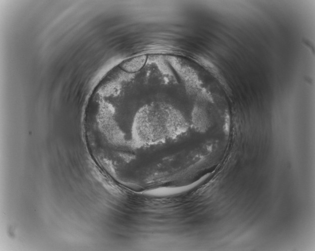 X0000099551427200806131202