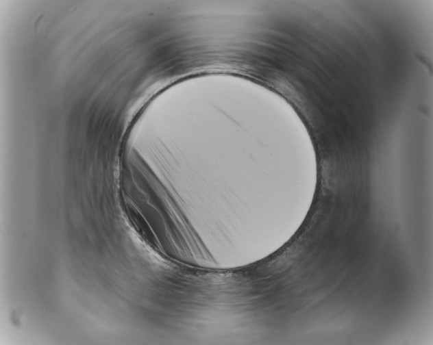 X0000099551428200806131202