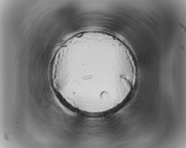 X0000099551429200806131202