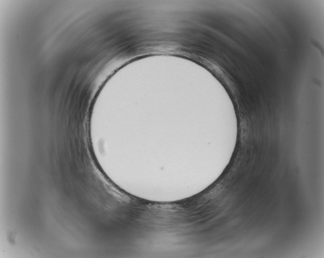 X0000099551432200806131202