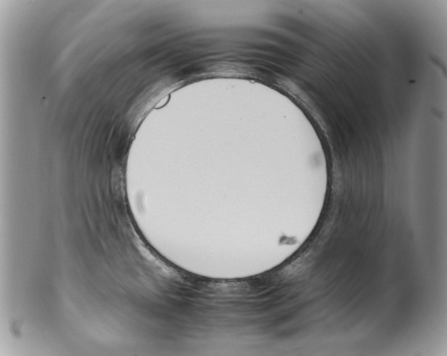 X0000099551433200806131202