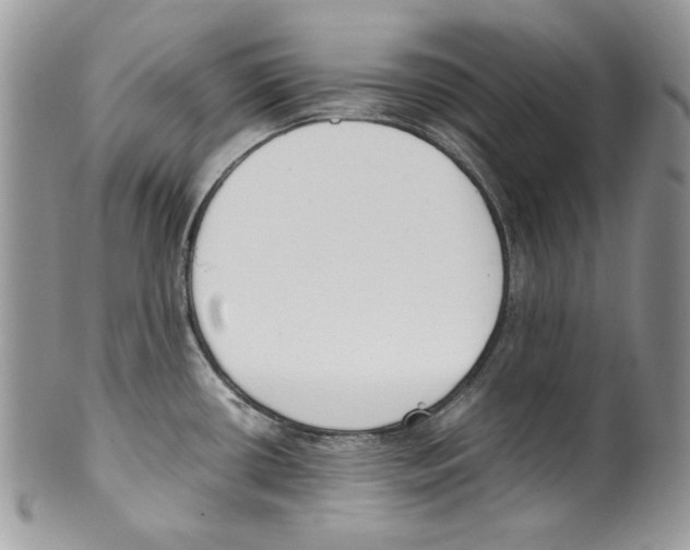 X0000099551434200806131202