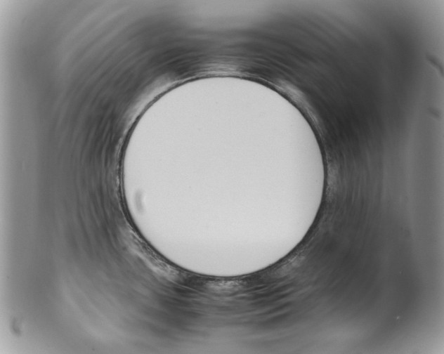 X0000099551435200806131202