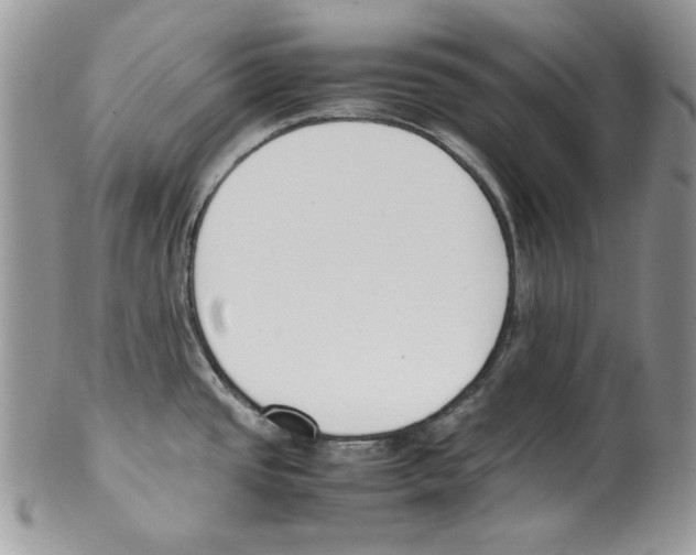 X0000099551437200806131202