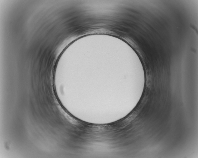 X0000099551438200806131202