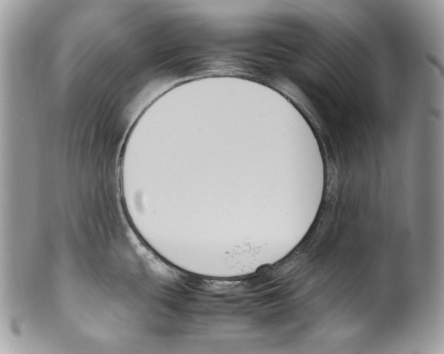 X0000099551439200806131202