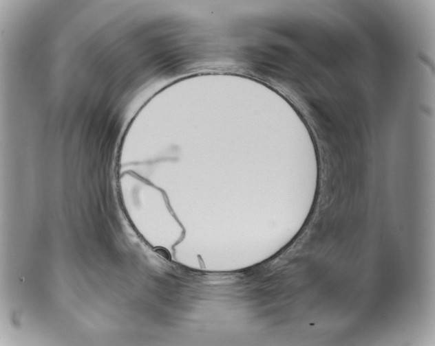 X0000099551440200806131202